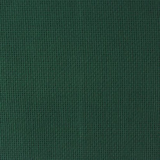 Канва арт.851 (мелк.) цветная 20*20см (зеленый)